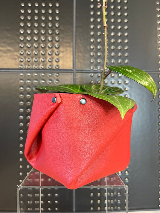 Leather Planter Cover/Organzier